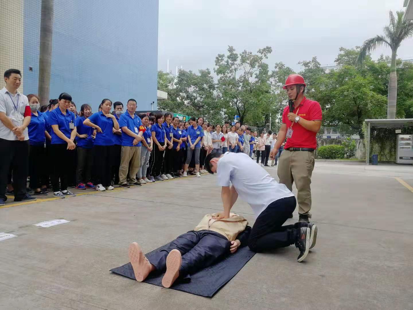 香港正版六六宝典