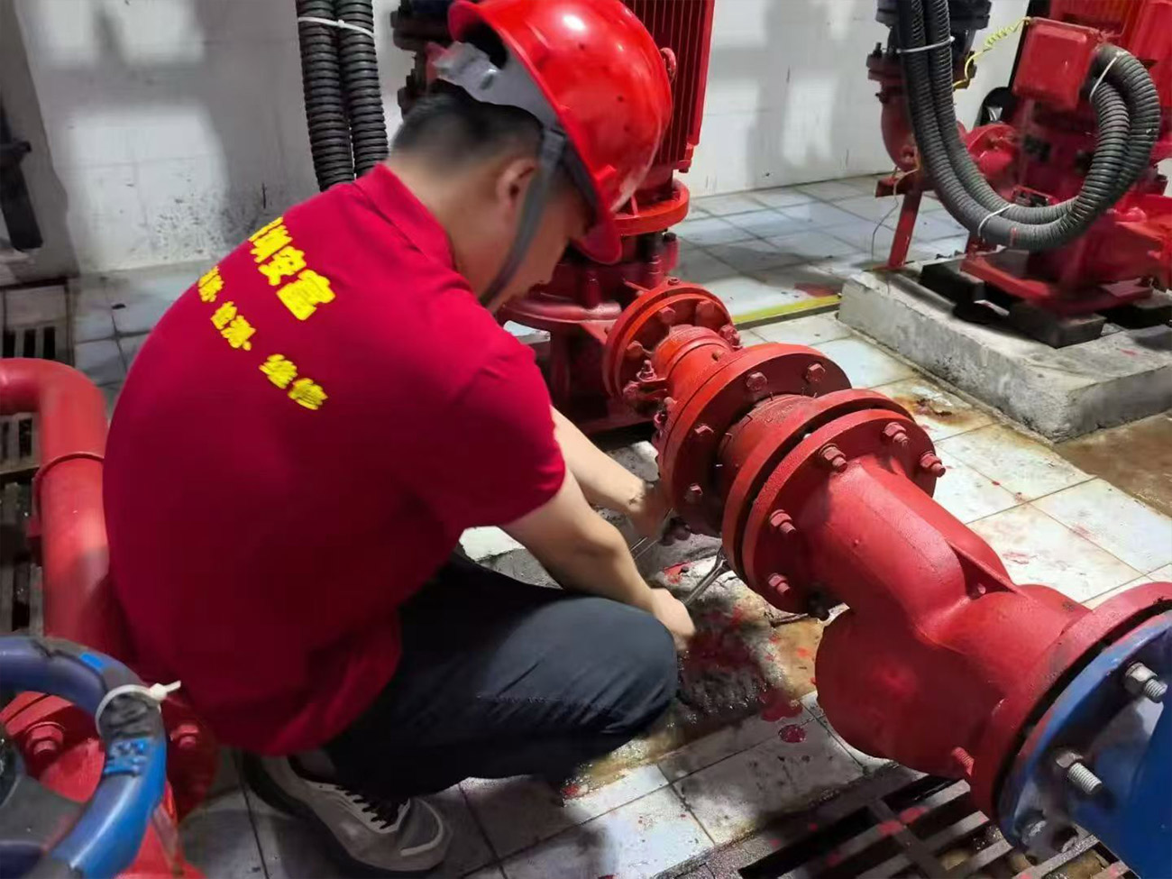 香港正版六六宝典