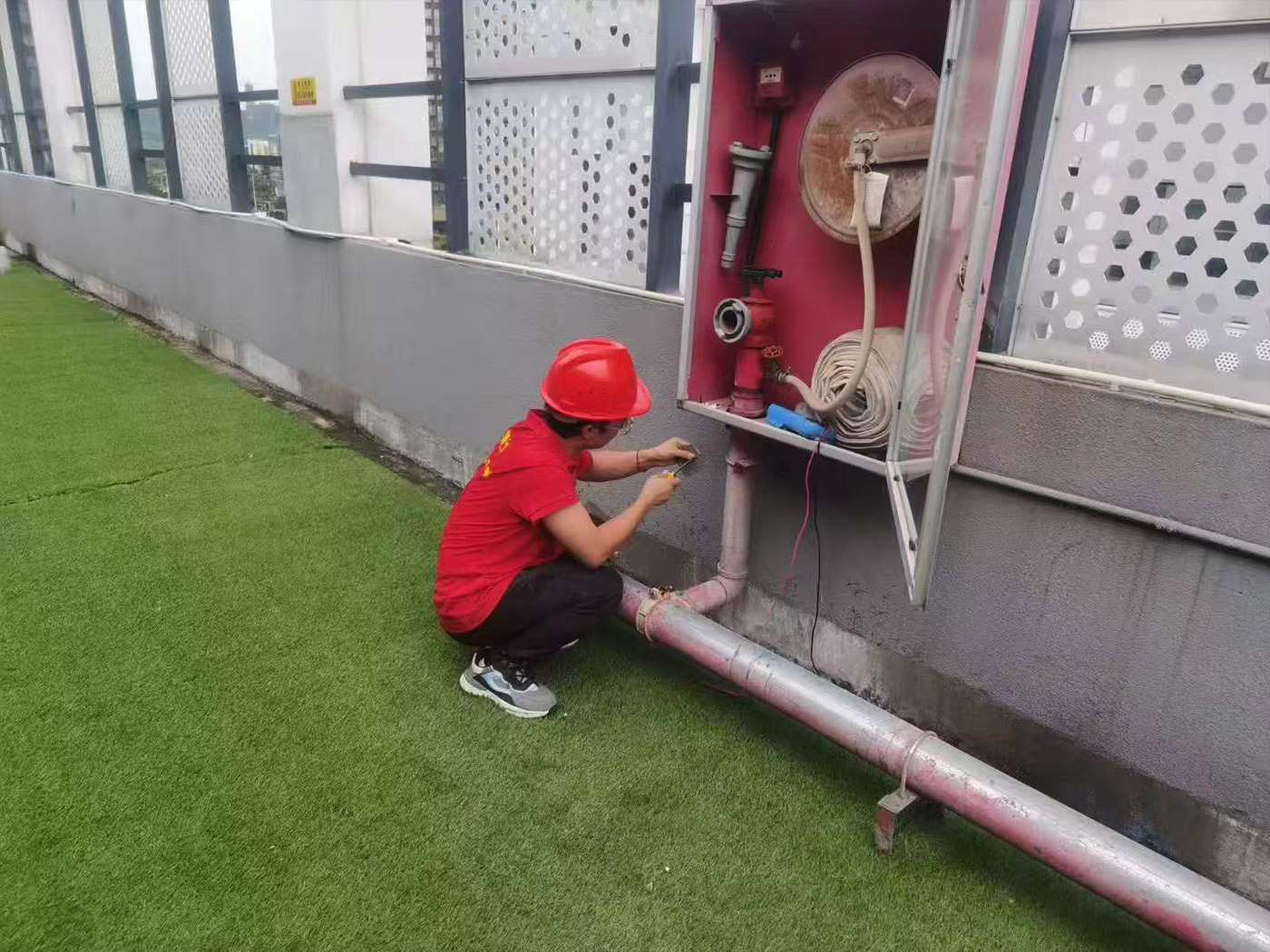 香港正版六六宝典