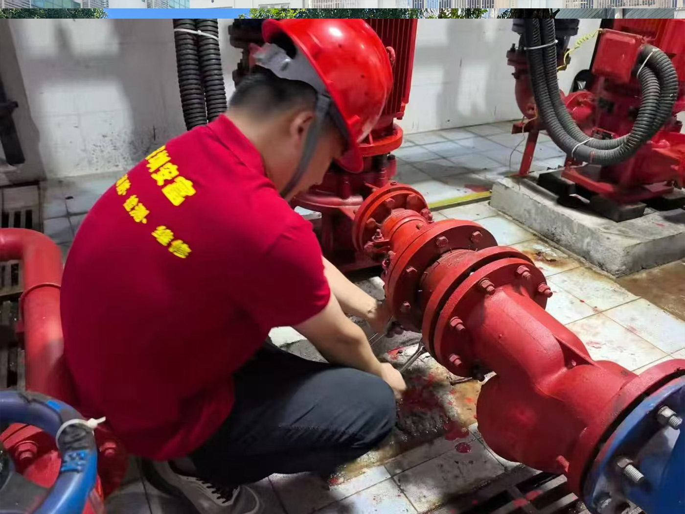 香港正版六六宝典
